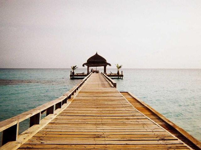 nnoel_quOn