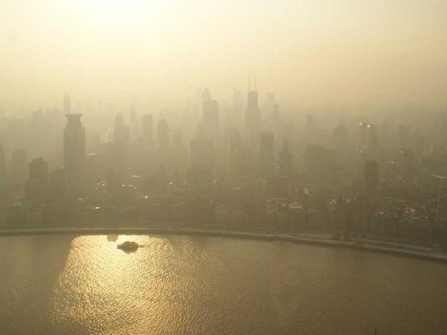 williamson_clementine_mr4d