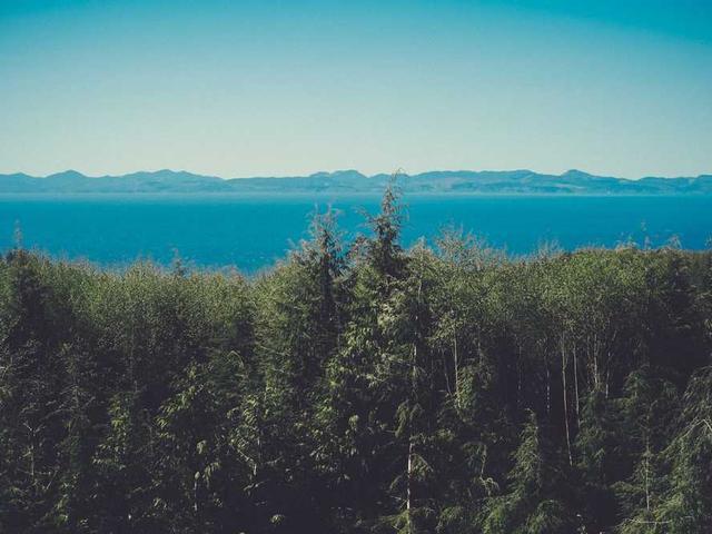 davis_douglas_HMXw