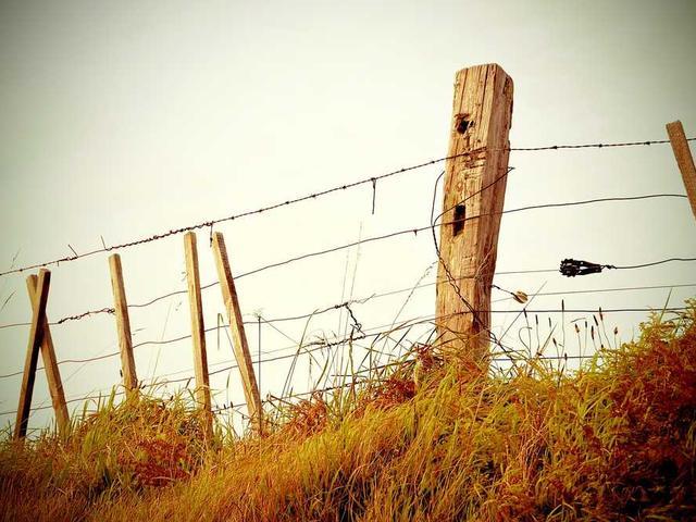 ipacocha_3fpS