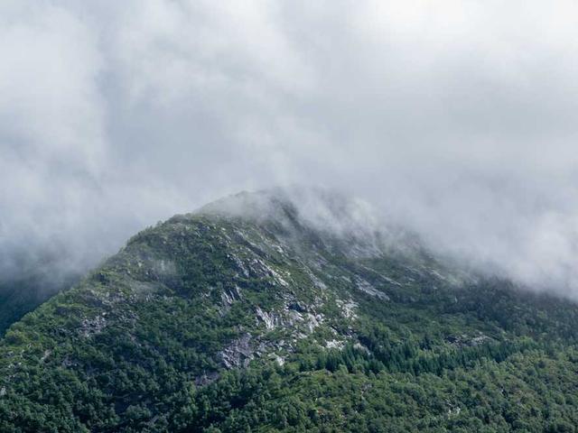 lstoltenberg_0460