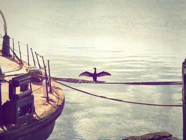 twalsh_eHPy