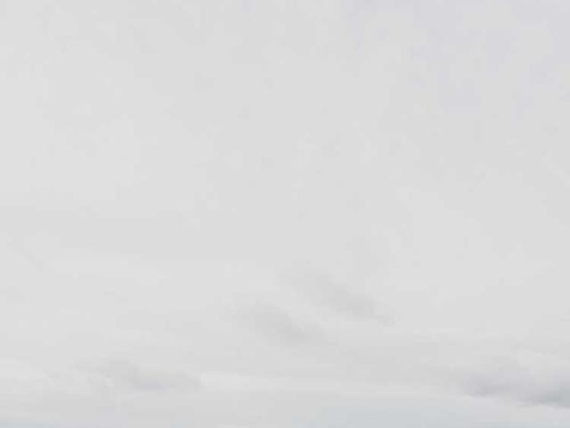 jacquelyn64_wk5d