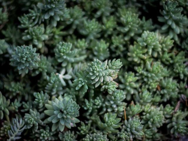 chartmann_XRU0