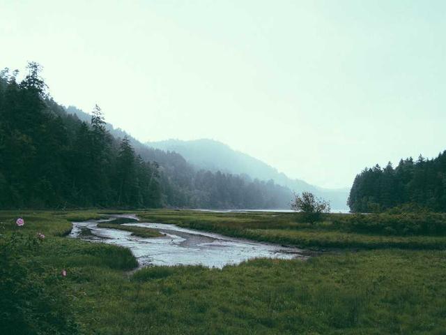 araceli_turcotte_xT6j