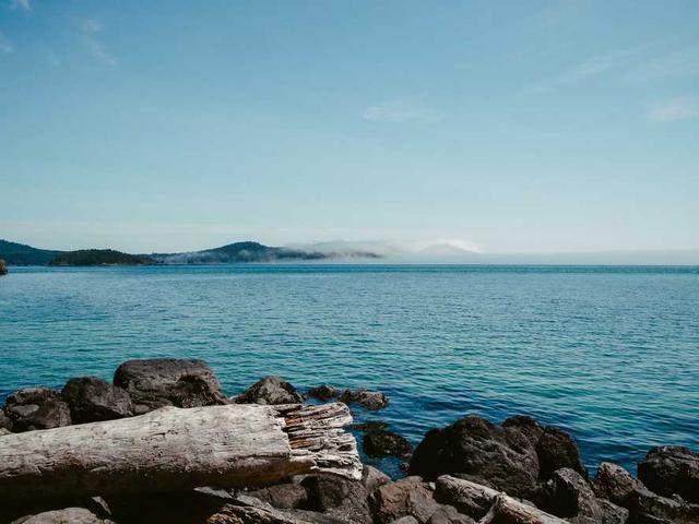 drolfson_BzzG