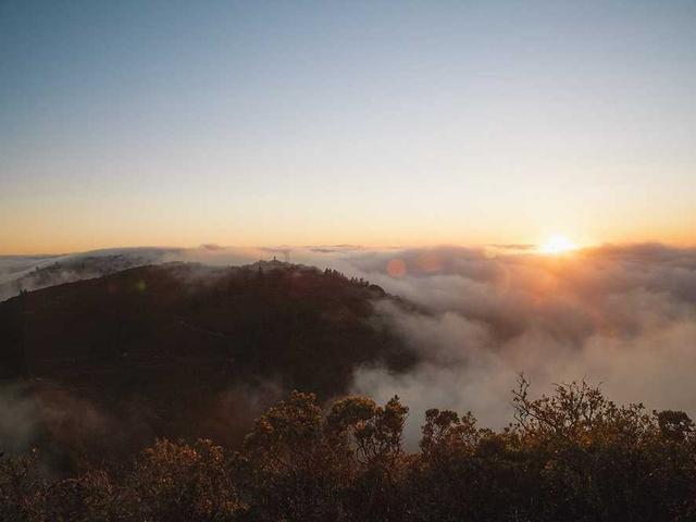 melody_ritchie_ERSA