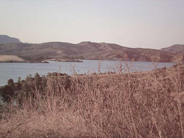 berger_simone_N7Vd