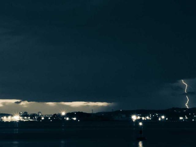 okuneva_idella_6iOT