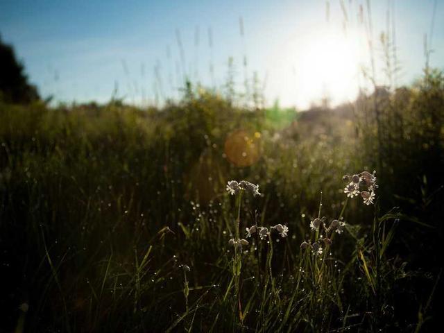 umeyer_YOAW