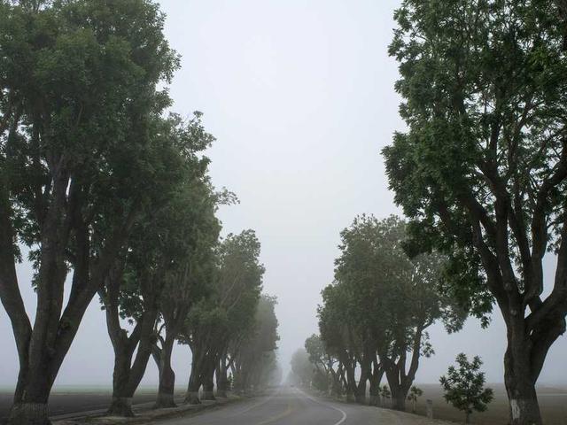 torrance94_Cpje