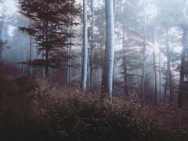 kpayet_R1tj