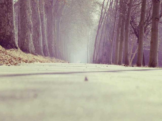 victor_ferrand_Pyxt