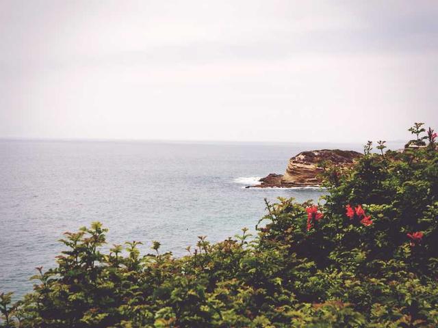 normand_maryse_Jagv